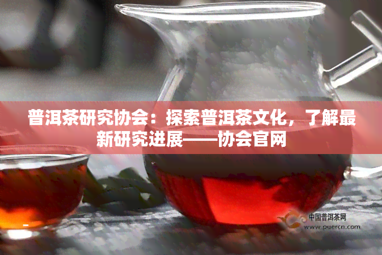 普洱茶研究协会：探索普洱茶文化，了解最新研究进展——协会官网