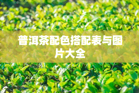 普洱茶配色搭配表与图片大全