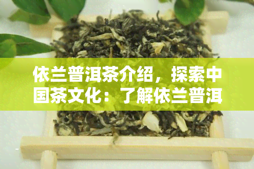 依兰普洱茶介绍，探索中国茶文化：了解依兰普洱茶的历与特色