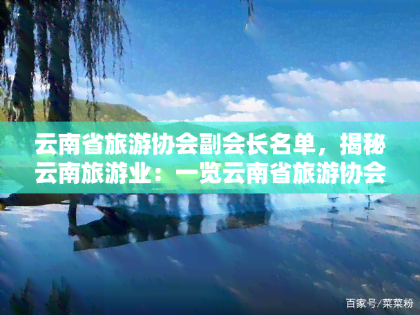 云南省旅游协会副会长名单，揭秘云南旅游业：一览云南省旅游协会副会长名单