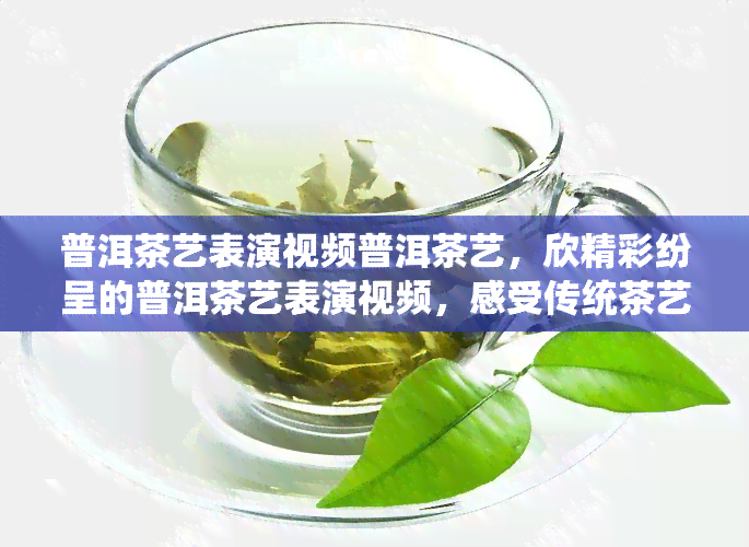 普洱茶艺表演视频普洱茶艺，欣精彩纷呈的普洱茶艺表演视频，感受传统茶艺的魅力！