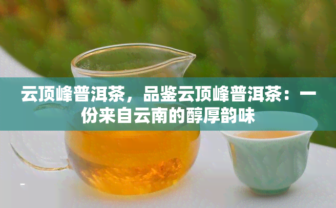 云顶峰普洱茶，品鉴云顶峰普洱茶：一份来自云南的醇厚韵味