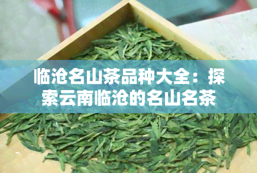 临沧名山茶品种大全：探索云南临沧的名山名茶