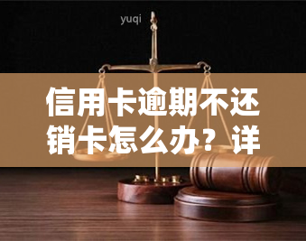 信用卡逾期不还销卡怎么办？详解办理流程及注意事