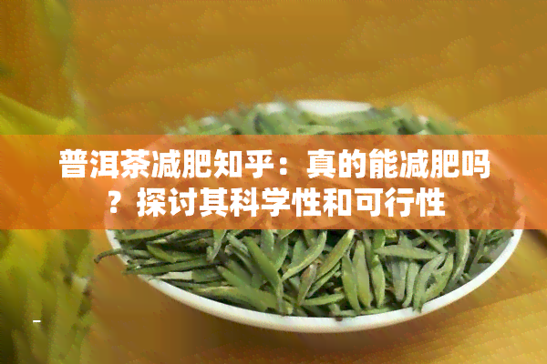 普洱茶减肥知乎：真的能减肥吗？探讨其科学性和可行性