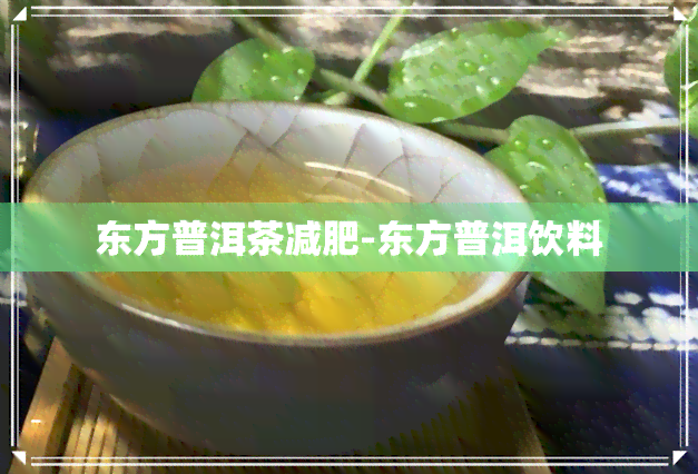 东方普洱茶减肥-东方普洱饮料