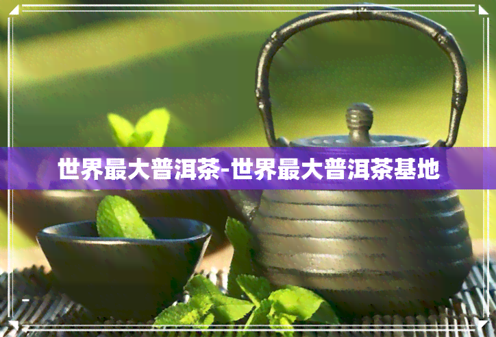 世界更大普洱茶-世界更大普洱茶基地