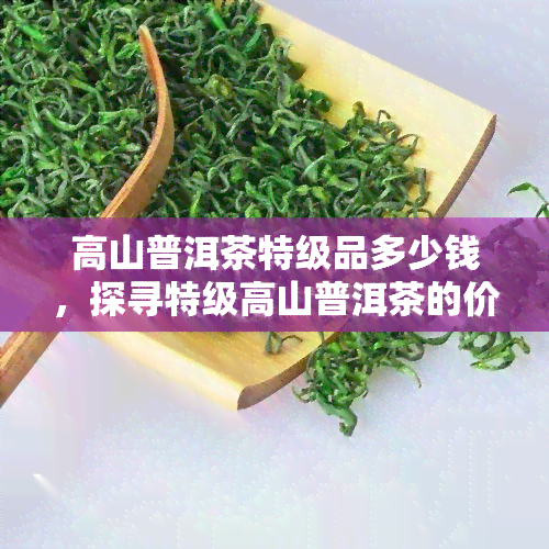 高山普洱茶特级品多少钱，探寻特级高山普洱茶的价格，从入门到进阶全解析！