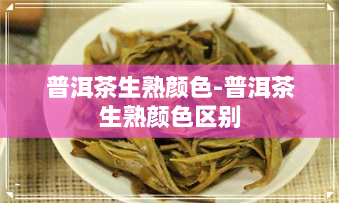 普洱茶生熟颜色-普洱茶生熟颜     别