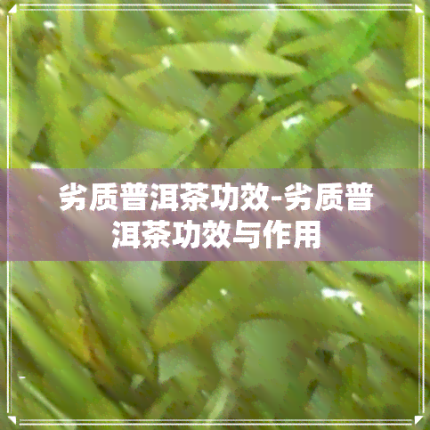 劣质普洱茶功效-劣质普洱茶功效与作用