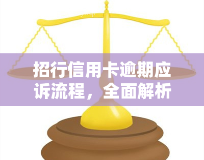 招行信用卡逾期应诉流程，全面解析：招行信用卡逾期的应诉流程