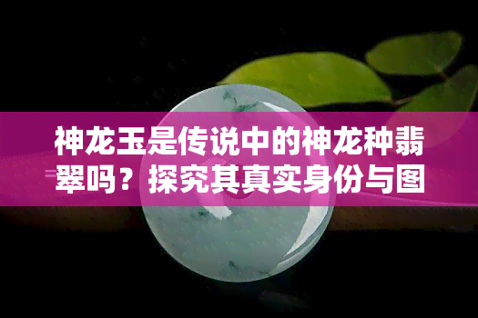 神龙玉是传说中的神龙种翡翠吗？探究其真实身份与图片