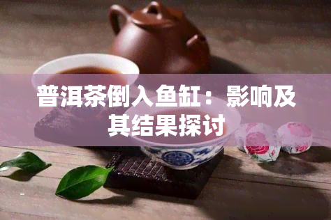 普洱茶倒入鱼缸：影响及其结果探讨