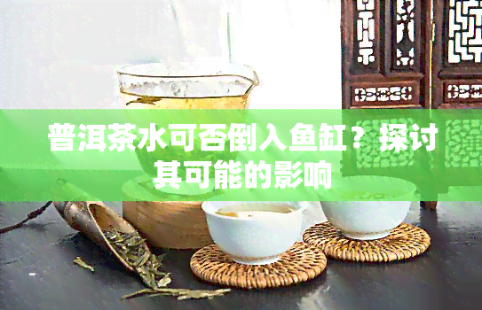 普洱茶水可否倒入鱼缸？探讨其可能的影响