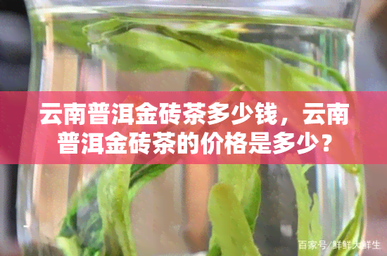 云南普洱金砖茶多少钱，云南普洱金砖茶的价格是多少？