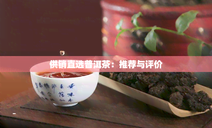 供销直选普洱茶：推荐与评价