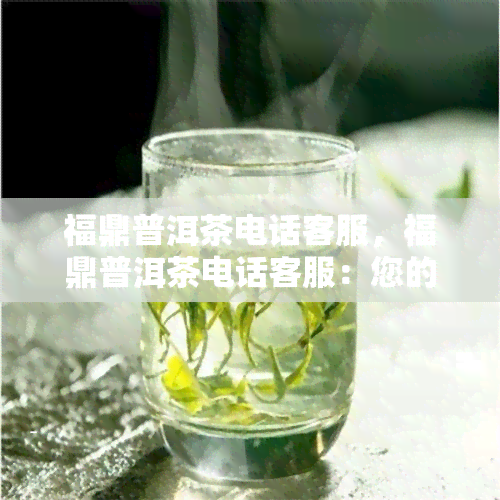 福鼎普洱茶电话客服，福鼎普洱茶电话客服：您的茶叶问题解决方案