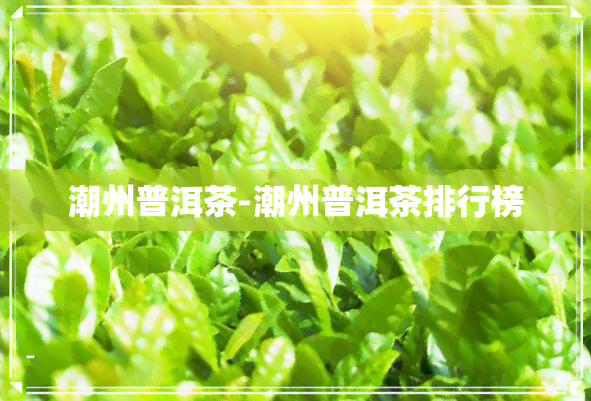 潮州普洱茶-潮州普洱茶排行榜