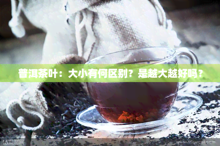 普洱茶叶：大小有何区别？是越大越好吗？