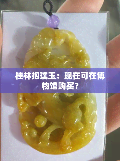 桂林抱璞玉：现在可在博物馆购买？