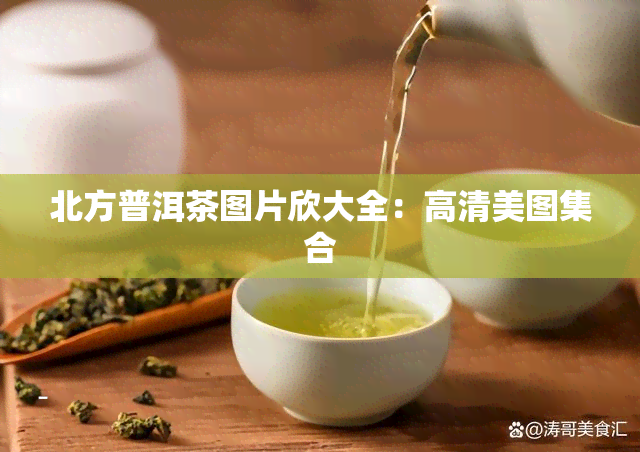 北方普洱茶图片欣大全：高清美图     