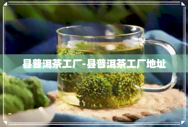 县普洱茶工厂-县普洱茶工厂地址