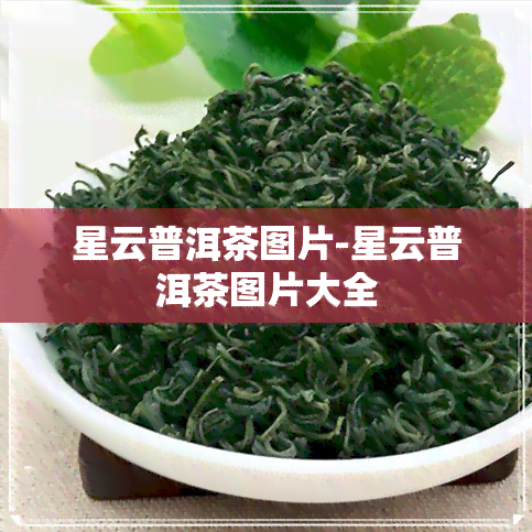 星云普洱茶图片-星云普洱茶图片大全