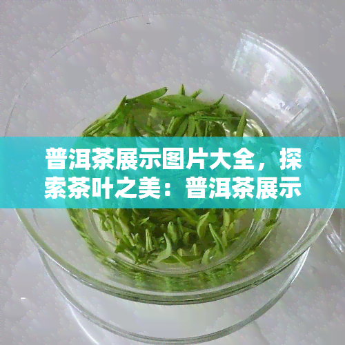 普洱茶展示图片大全，探索茶叶之美：普洱茶展示图片大全