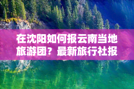 在沈阳如何报云南当地旅游团？最新旅行社报价一览