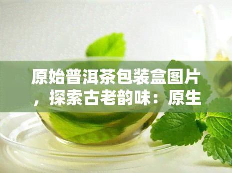 原始普洱茶包装盒图片，探索古老韵味：原生态普洱茶包装盒图片