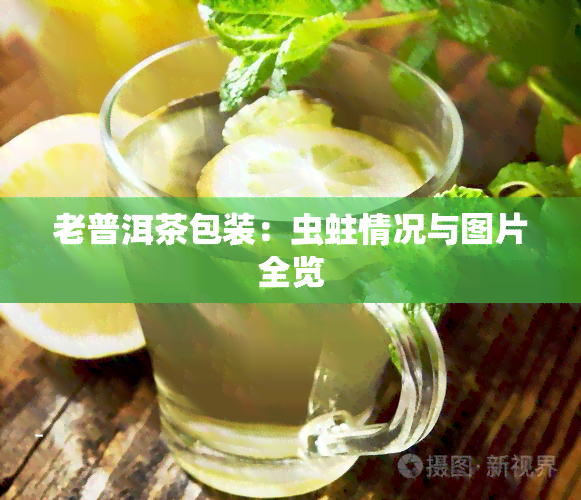 老普洱茶包装：虫蛀情况与图片全览