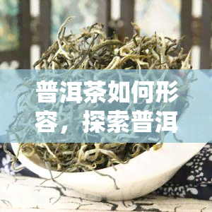 普洱茶如何形容，探索普洱茶的独特韵味：一种深沉、醇厚和复杂的口感描述