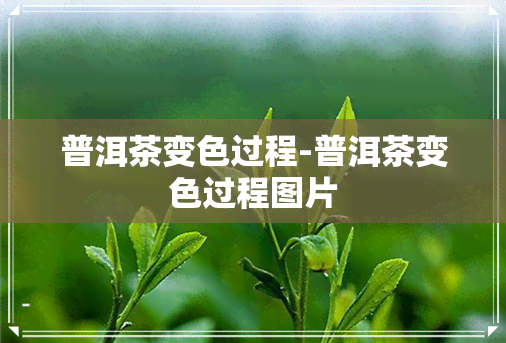 普洱茶变色过程-普洱茶变色过程图片