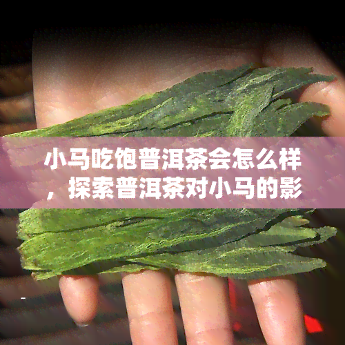 小马吃饱普洱茶会怎么样，探索普洱茶对小马的影响：饱餐后会出现什么反应？