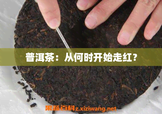 普洱茶：从何时开始走红？