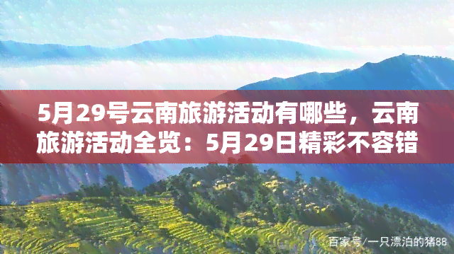 5月29号云南旅游活动有哪些，云南旅游活动全览：5月29日精彩不容错过！