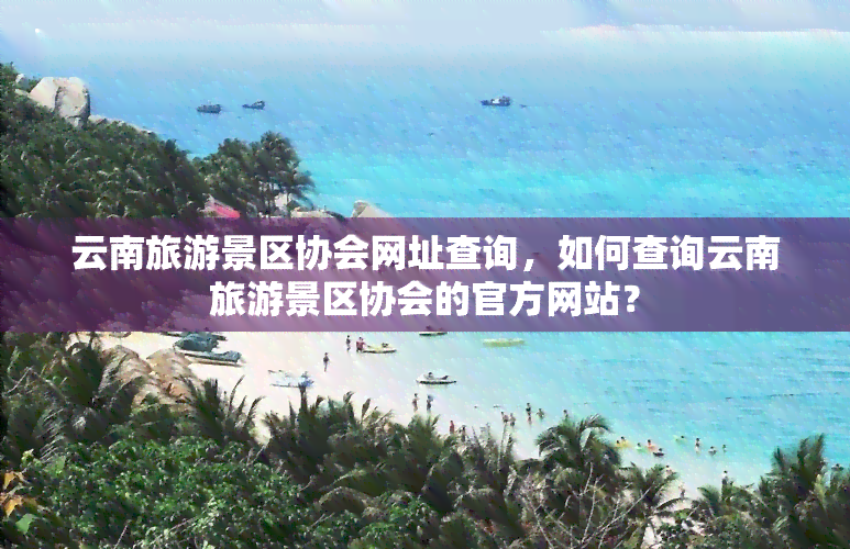 云南旅游景区协会网址查询，如何查询云南旅游景区协会的官方网站？