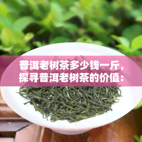 普洱老树茶多少钱一斤，探寻普洱老树茶的价值：一斤价格解析与选购建议