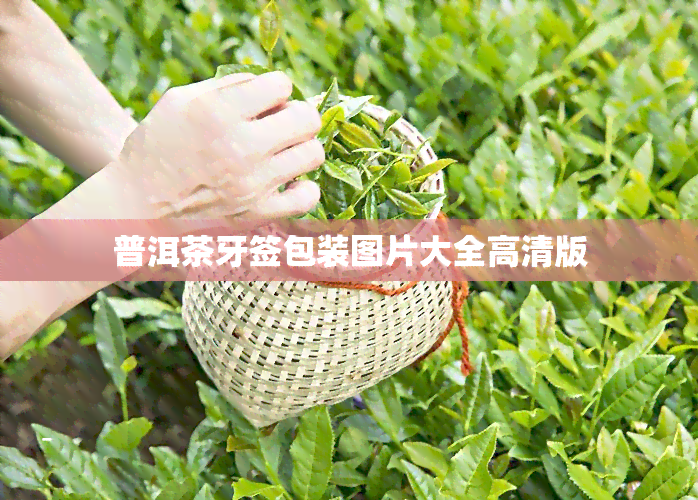 普洱茶牙签包装图片大全高清版