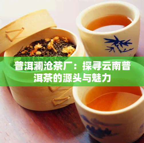 普洱澜沧茶厂：探寻云南普洱茶的源头与魅力