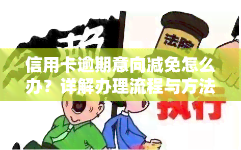 信用卡逾期意向减免怎么办？详解办理流程与方法