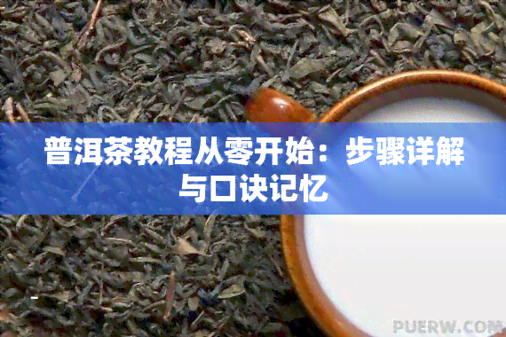 普洱茶教程从零开始：步骤详解与口诀记忆