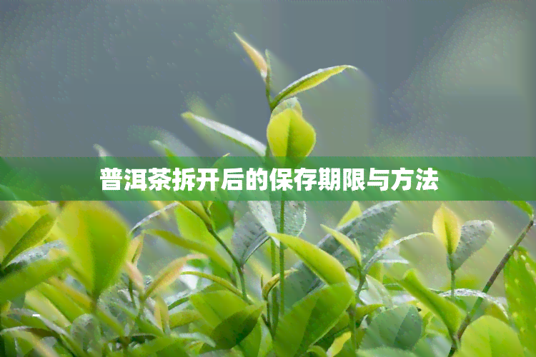 普洱茶拆开后的保存期限与方法