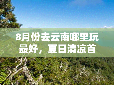 8月份去云南哪里玩更好，夏日清凉首选！8月云南更佳旅游景点推荐