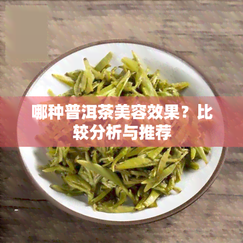 哪种普洱茶美容效果？比较分析与推荐