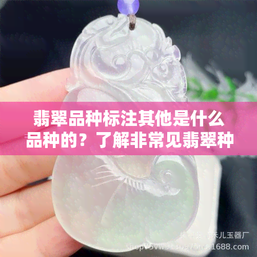 翡翠品种标注其他是什么品种的？了解非常见翡翠种类及其图片与特征