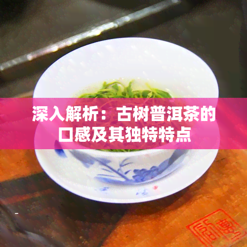 深入解析：古树普洱茶的口感及其独特特点