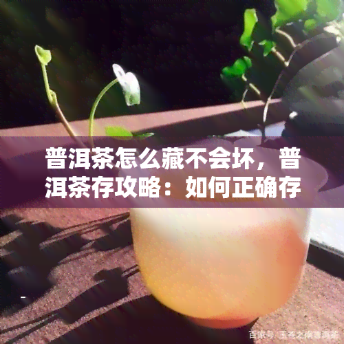 普洱茶怎么藏不会坏，普洱茶存攻略：如何正确存放，避免变质？