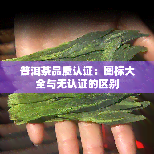 普洱茶品质认证：图标大全与无认证的区别