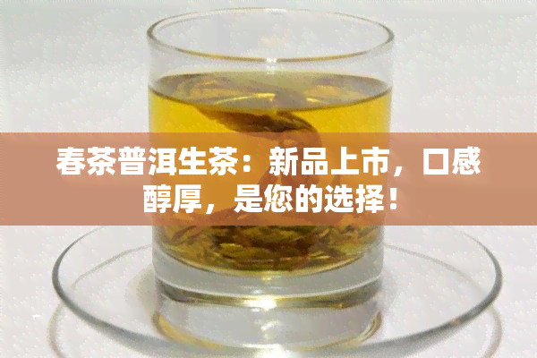 春茶普洱生茶：新品上市，口感醇厚，是您的选择！